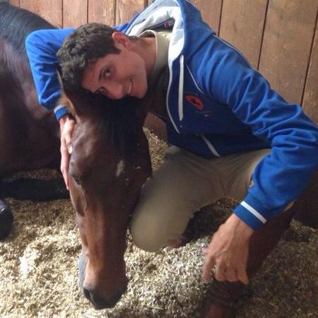 Alberto Zorzi - Showjumper